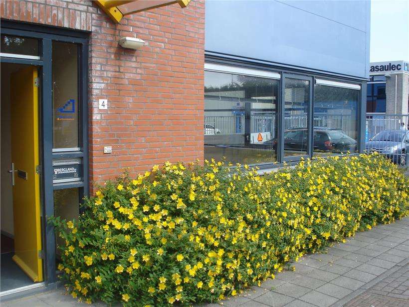Vlotbrugweg 4 Vlotbrugweg 4