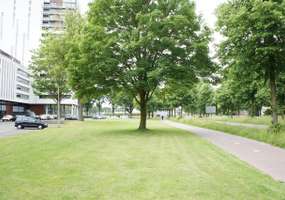 Ringbaan-Zuid 42 Ringbaan-Zuid 42
