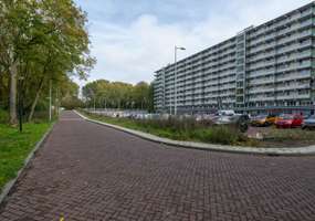Haag en Veld 195