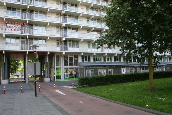 Haag en Veld 195