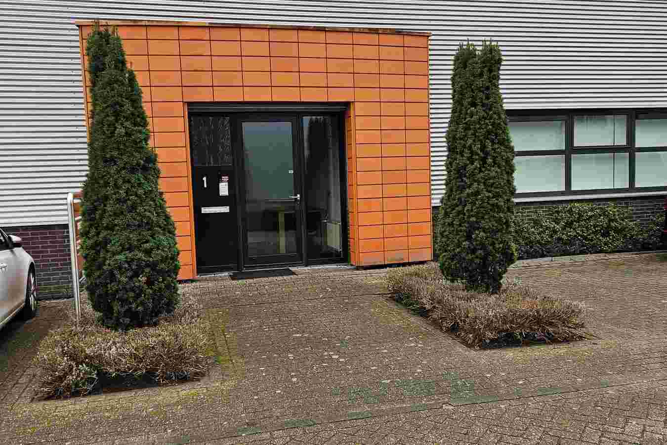 Koninginnekruid 1