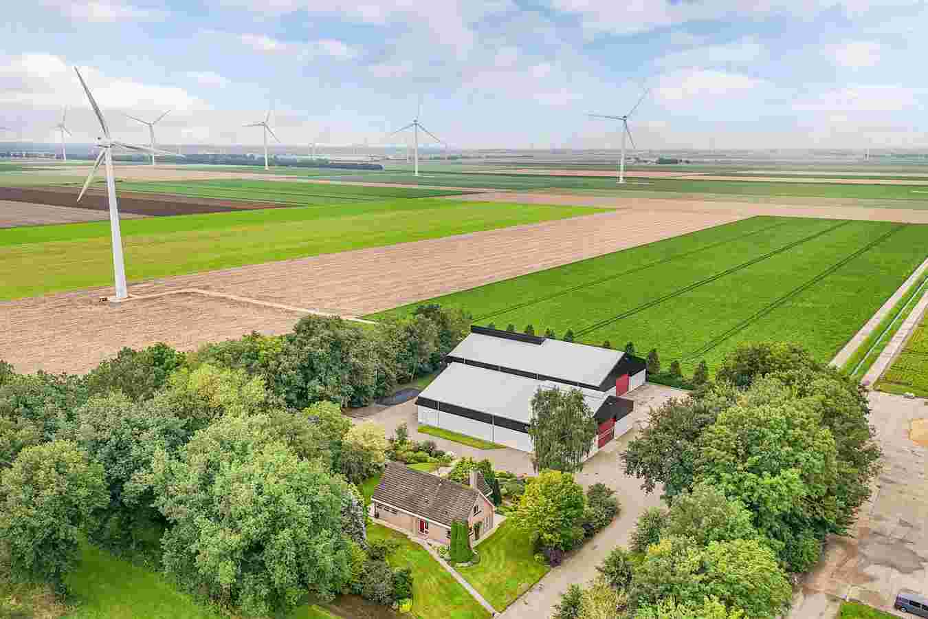 Lepelaarweg 6