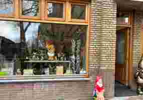Hoofdstraat 55