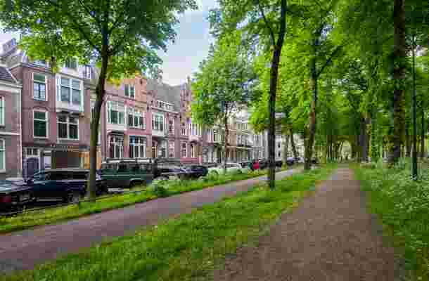 Maliebaan 80