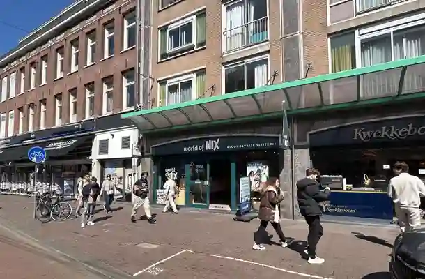 Ferdinand Bolstraat 117